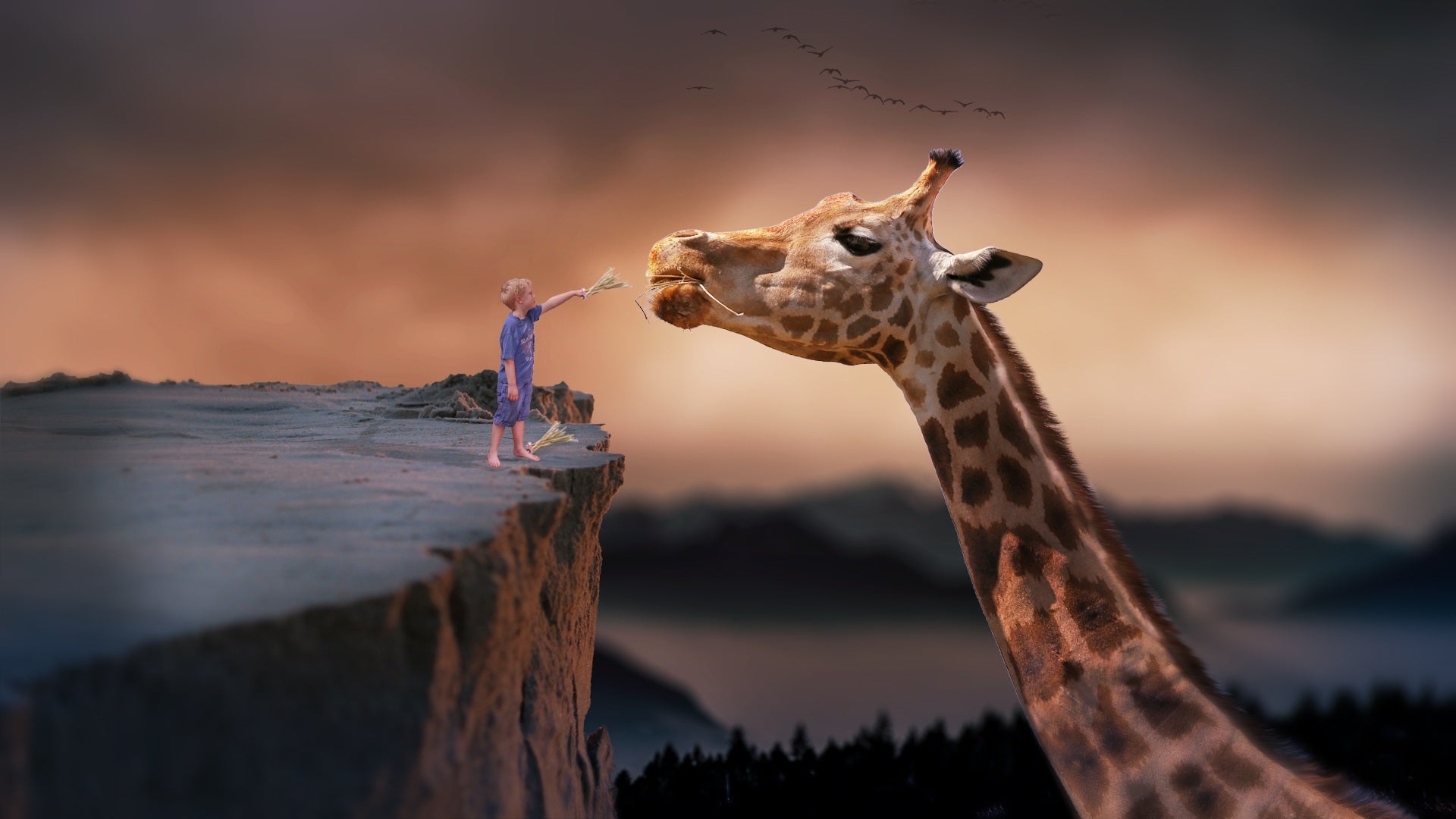 FAQ Giraffe