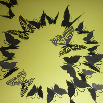 3D Black Butterflies wall art - Fantastick