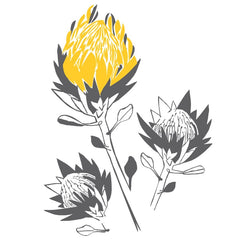 Artistic Proteas - vinyl wall sticker - Fantastick