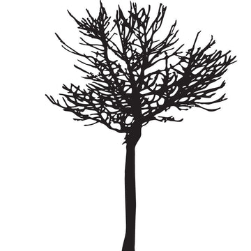 Branch Tree - vinyl wall sticker - Fantastick