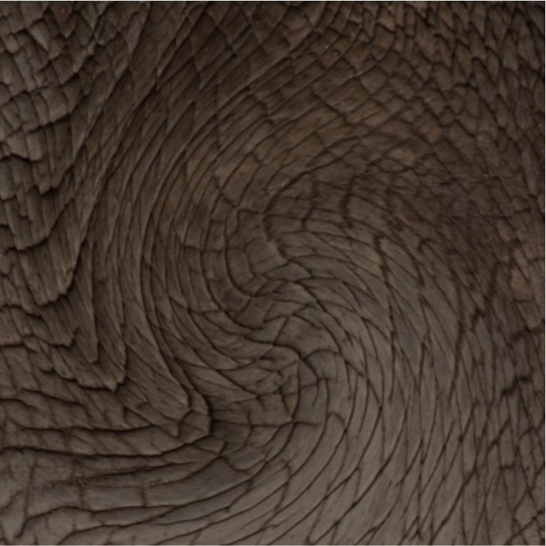 Elephant Head - Patterned - texture elephant skin