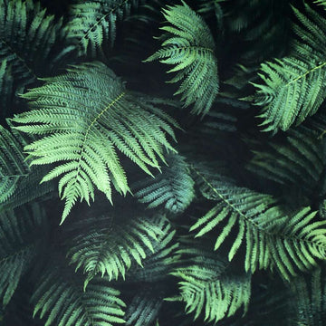 Fern Wall Green Wallpaper - Fantastick