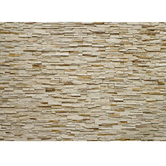 Fine Stone Wall Mural - Fantastick