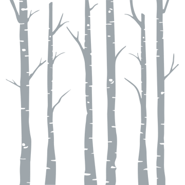 Frosted Birch Forest - vinyl glass stickers - Fantastick