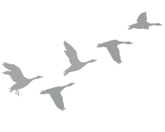 Frosted Wild geese - vinyl glass stickers - Fantastick