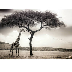 Giraffe Safari Mural - Fantastick