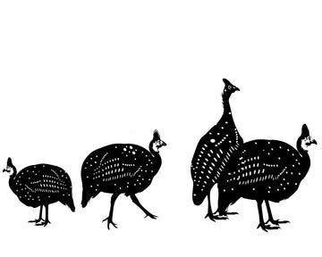 Guinea fowl - vinyl wall stickers - Fantastick