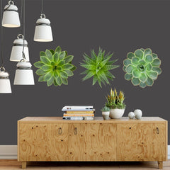 Trio of Succulents in green - Vinyl wall stickers - Fantastick