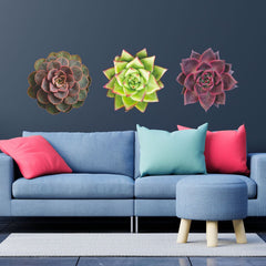 Trio of Succulents in red hues - Vinyl wall stickers - Fantastick