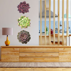 Trio of Succulents in red hues - Vinyl wall stickers - Fantastick