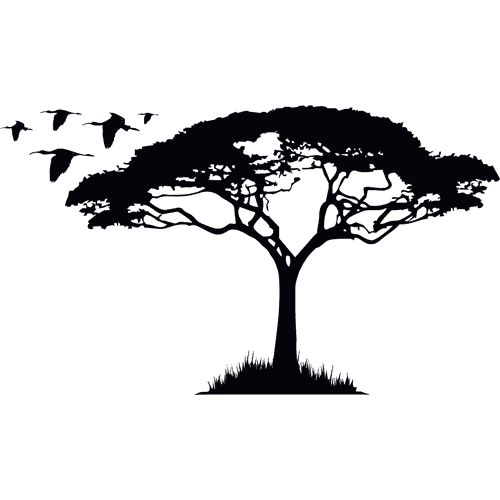 Acacia tree vinyl wall sticker 